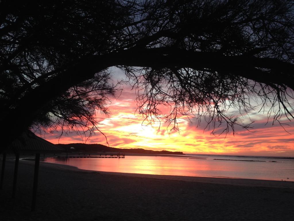 Nautilus Retreat Kalbarri B&B Eksteriør billede